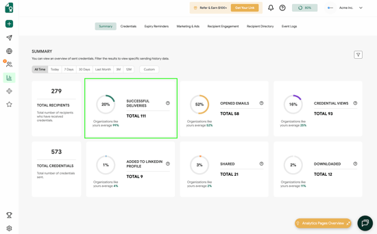 Summary Tab Successful Deliveries